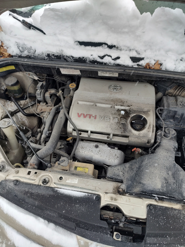 2006 Toyota Sienna Minivan - photo 3