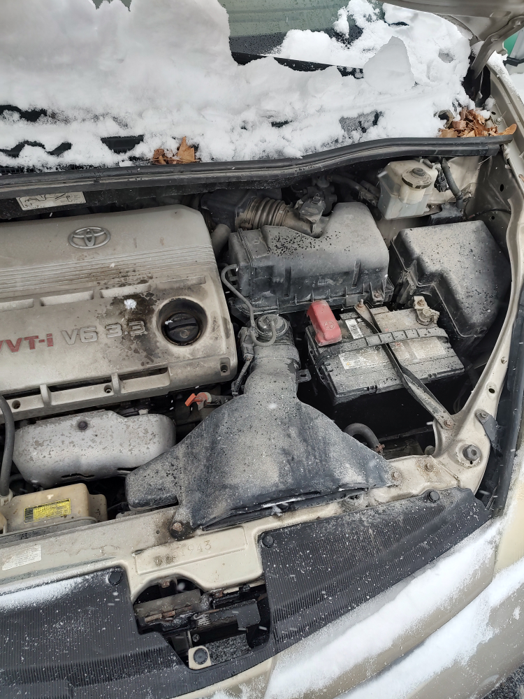 2006 Toyota Sienna Minivan - photo 4