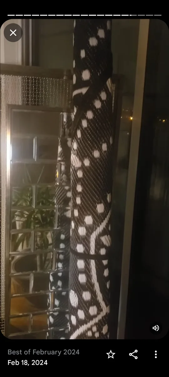 Black and White Outdoor Rugs image indicator(4)