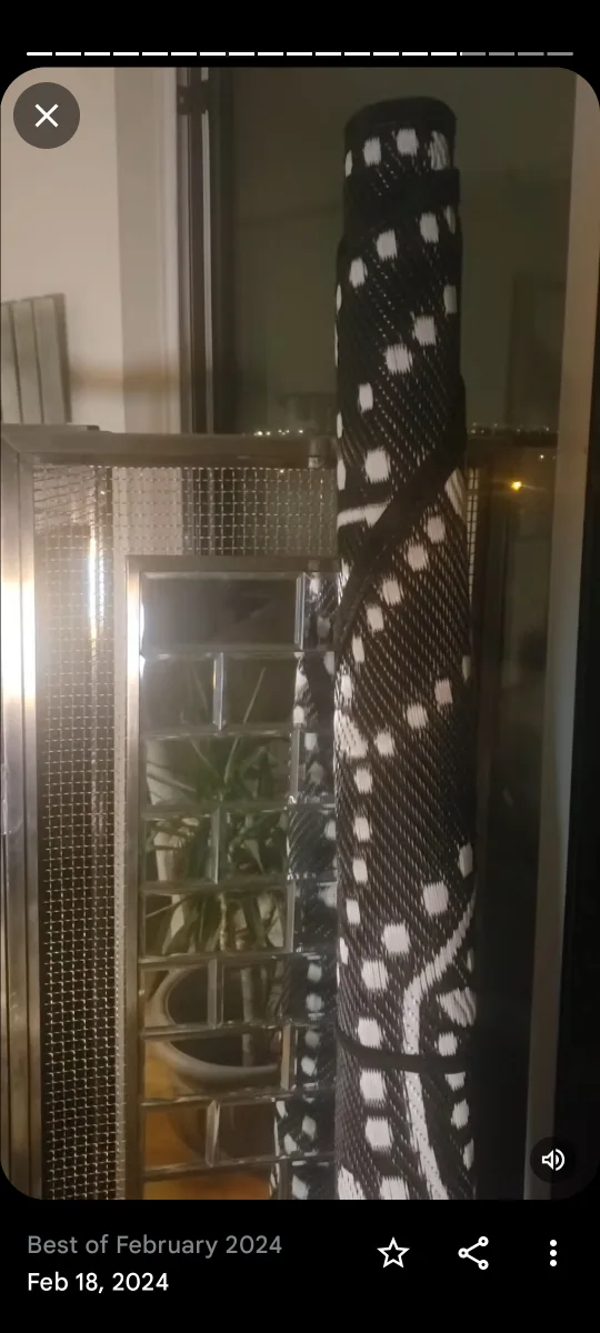 Black and White Outdoor Rugs image indicator(5)