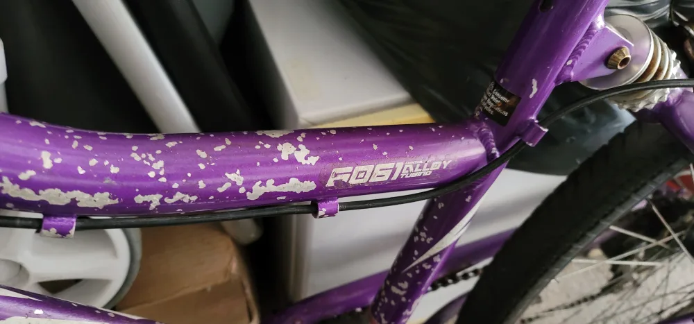 AVALON Bike Strong Sturdy BIKE BICYCLE for Men Women Purple image indicator(10)