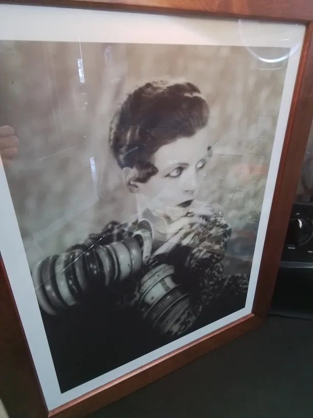 Framed Printed Photograph Of Nancy Cunard, 1928💚 image indicator(4)