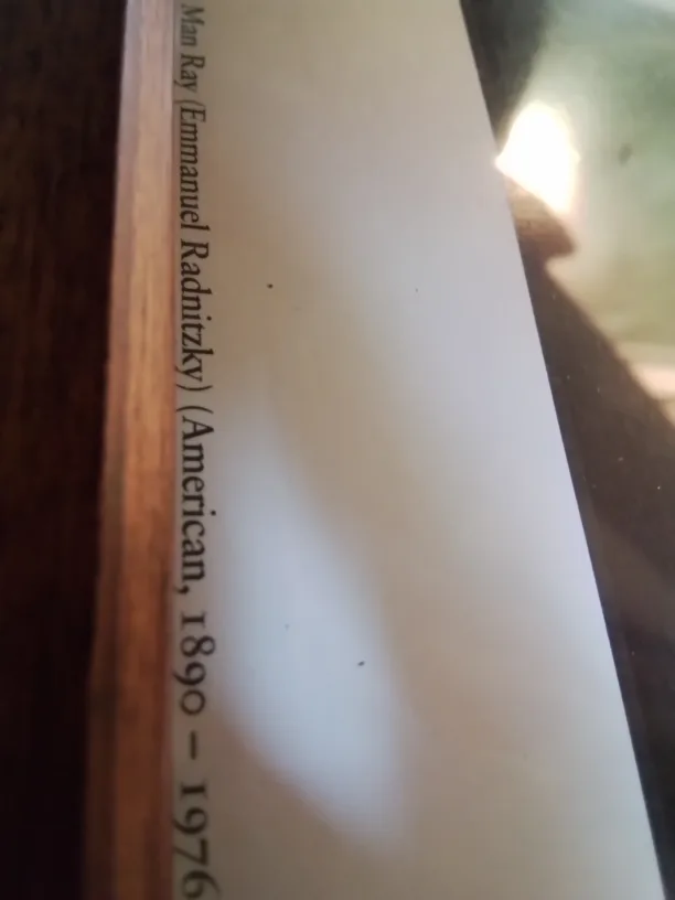 Framed Printed Photograph Of Nancy Cunard, 1928💚 image indicator(5)