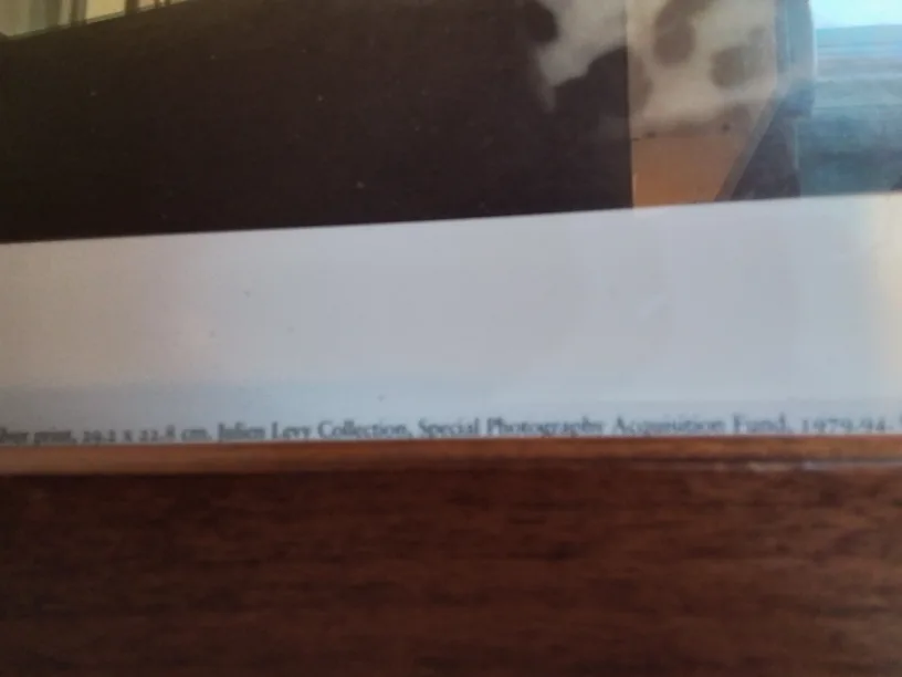 Framed Printed Photograph Of Nancy Cunard, 1928💚 image indicator(7)