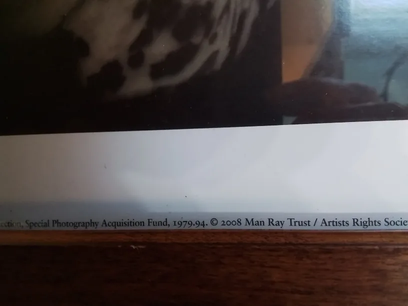 Framed Printed Photograph Of Nancy Cunard, 1928💚 image indicator(8)