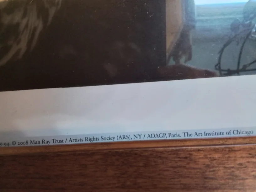 Framed Printed Photograph Of Nancy Cunard, 1928💚 image indicator(9)