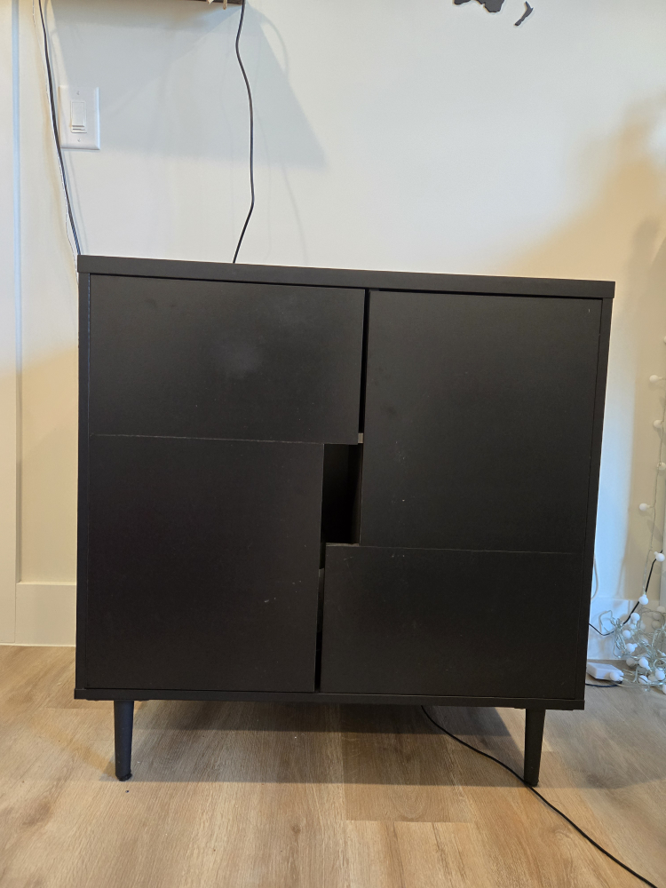 Black Cabinet with Two Doors and Adjustable Shelves