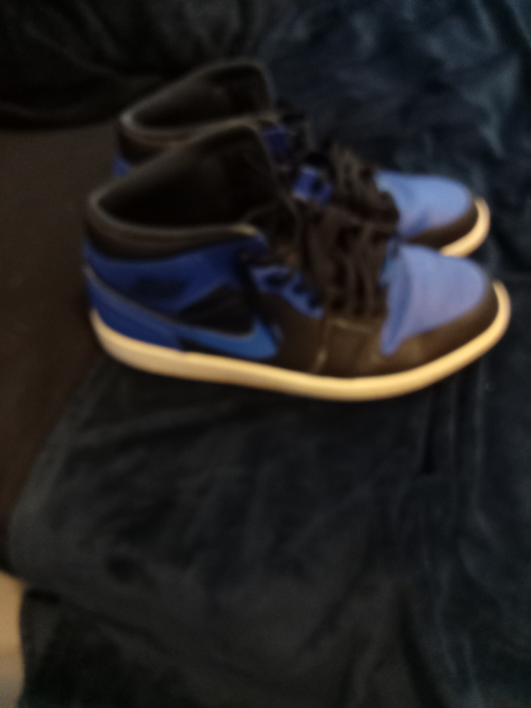 Nike Air Jordan 1 Mid Blue and Black Sneakers