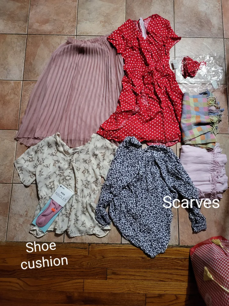 Women's Clothing Bundle: Tops, Pants, Shorts, and More! image indicator(2)