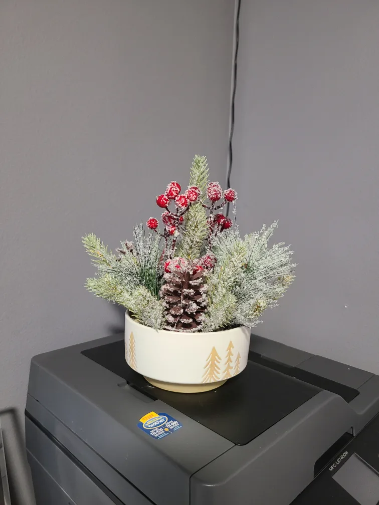 New Miniature Snowy Christmas Arrangement“🏈” image indicator(4)