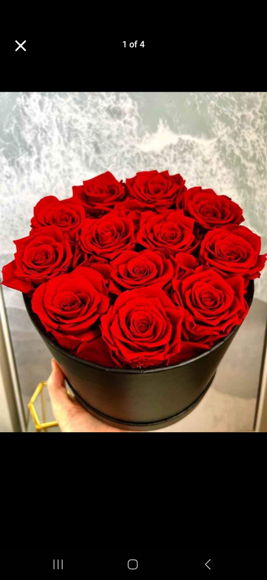 Preserved Red Roses in Black Gift Box