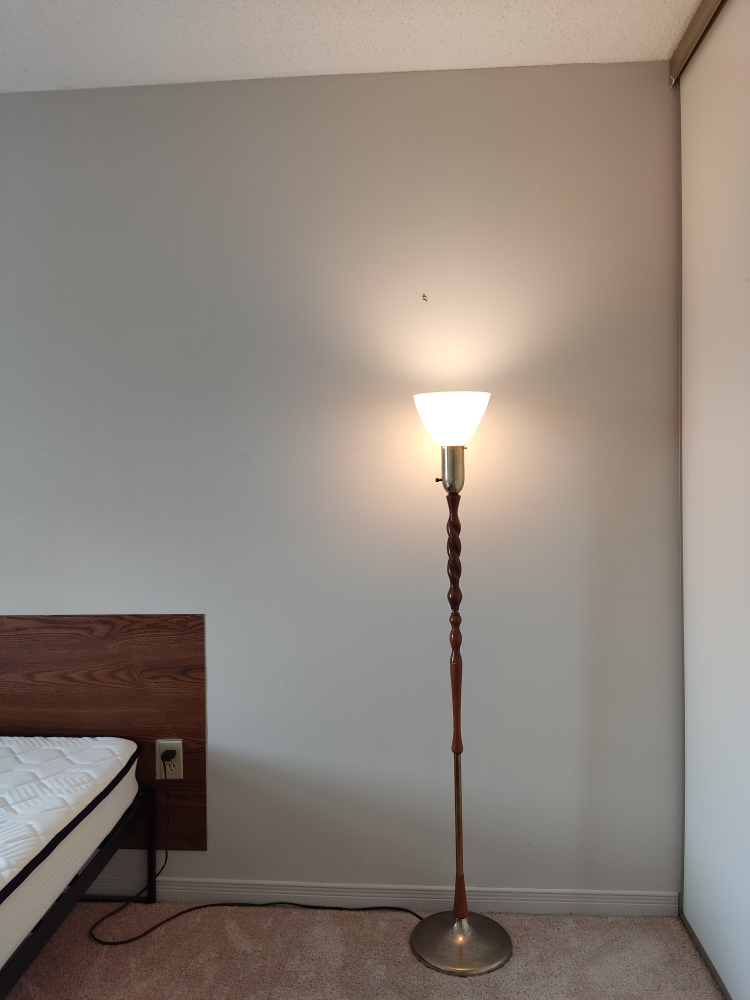 Mid-Century Modern Floor Lamp