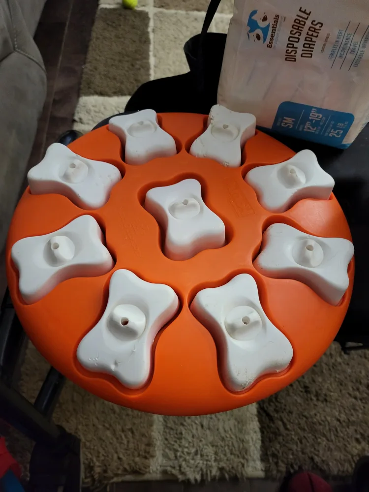 Dog Training & Walking Bundle image indicator(3)