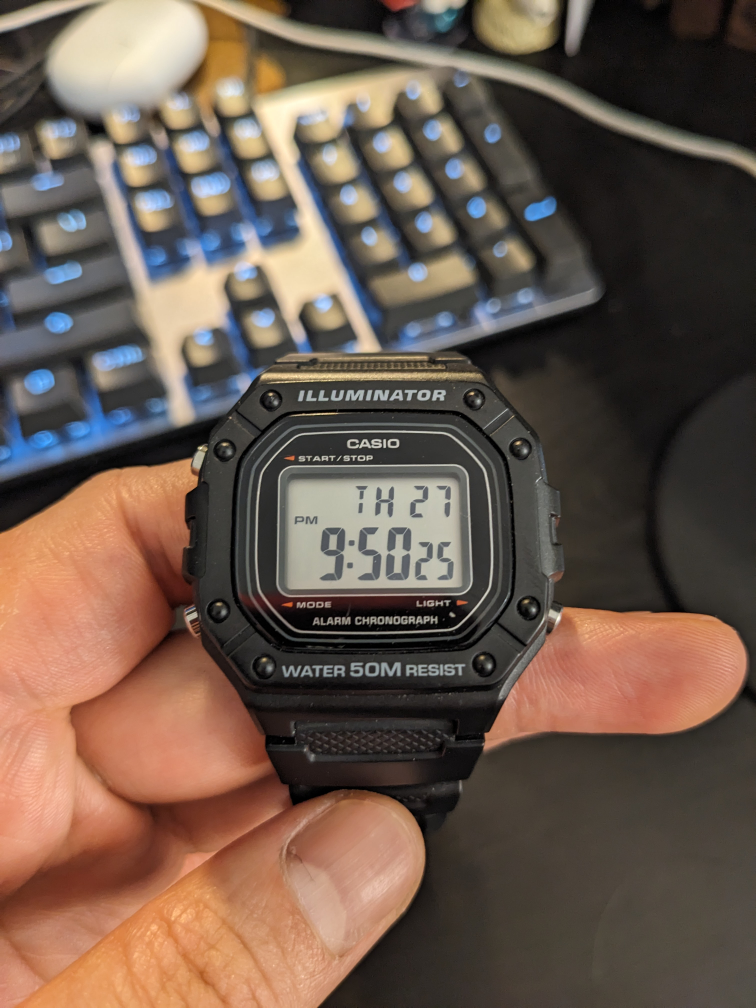 Casio W-218H