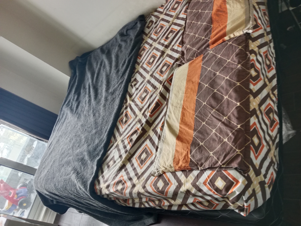 MUST Go SALE  Both Queen Box Spring , metal frame - photo 5