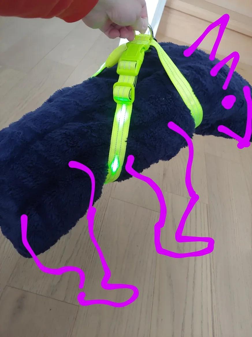 Dog Harness, New, Rechargeable LED, Lime Green, Size=L image indicator(2)