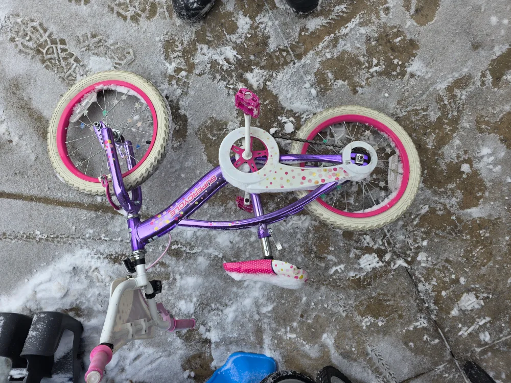 Girls' Purple and Pink Children's Bicycle image indicator(2)