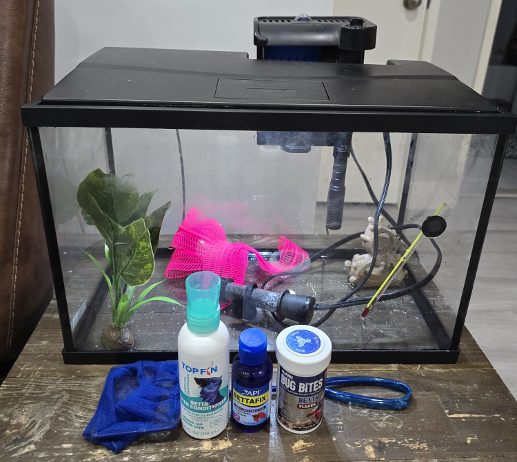 5-Gallon Aquarium Kit with Filter and Accessories