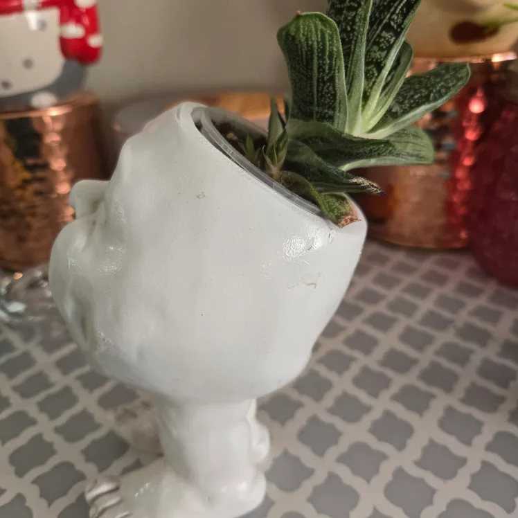Unique Face Planter with Succulent image indicator(4)