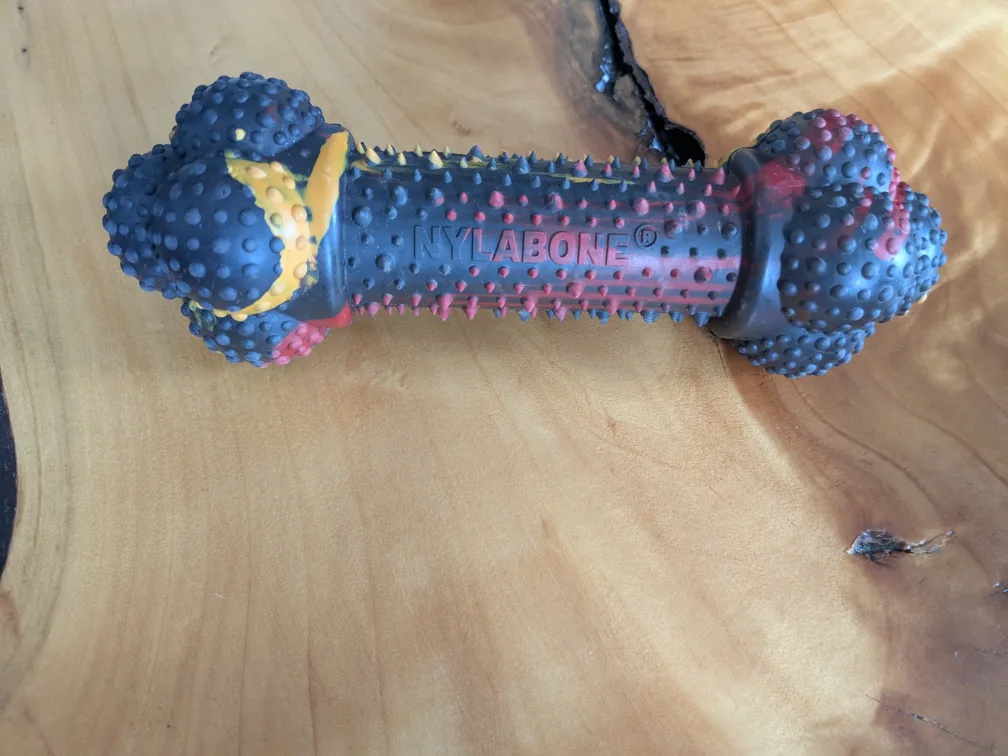 Nylabone Dura Chew Dog Toy image indicator(2)