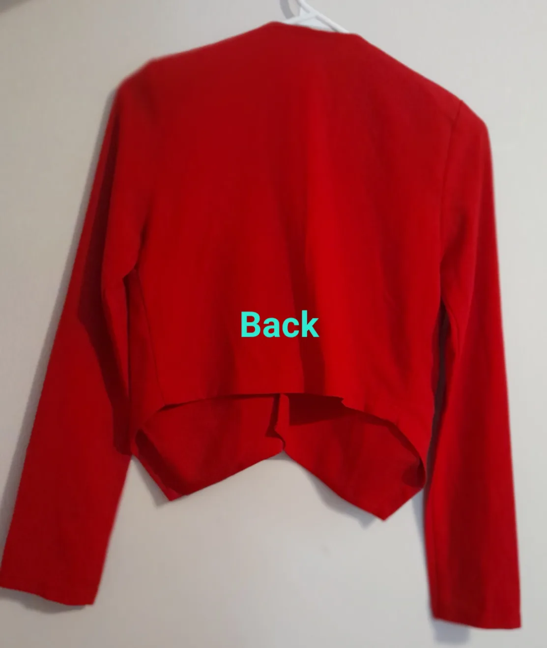 Women's Red Blazer image indicator(2)