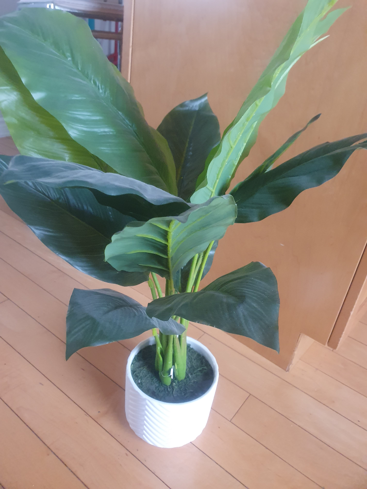 Artificial Plant in White Pot