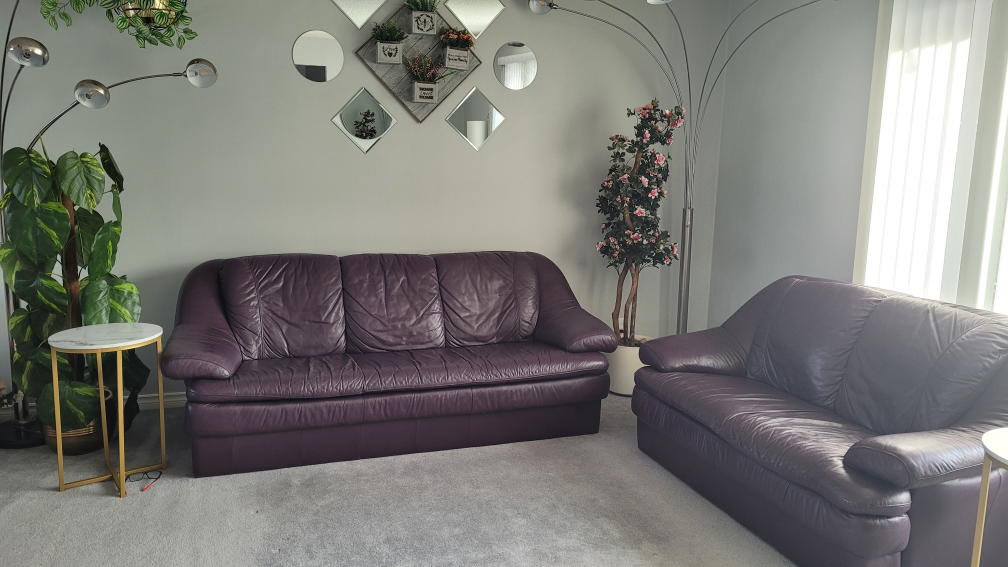 Purple Leather Sofa and Loveseat Set - photo 2