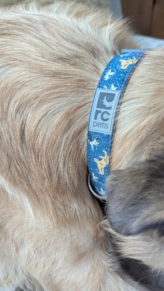 🥕 RC Pets Dog Collar - Medium, Blue Space Dogs Design image indicator(4)