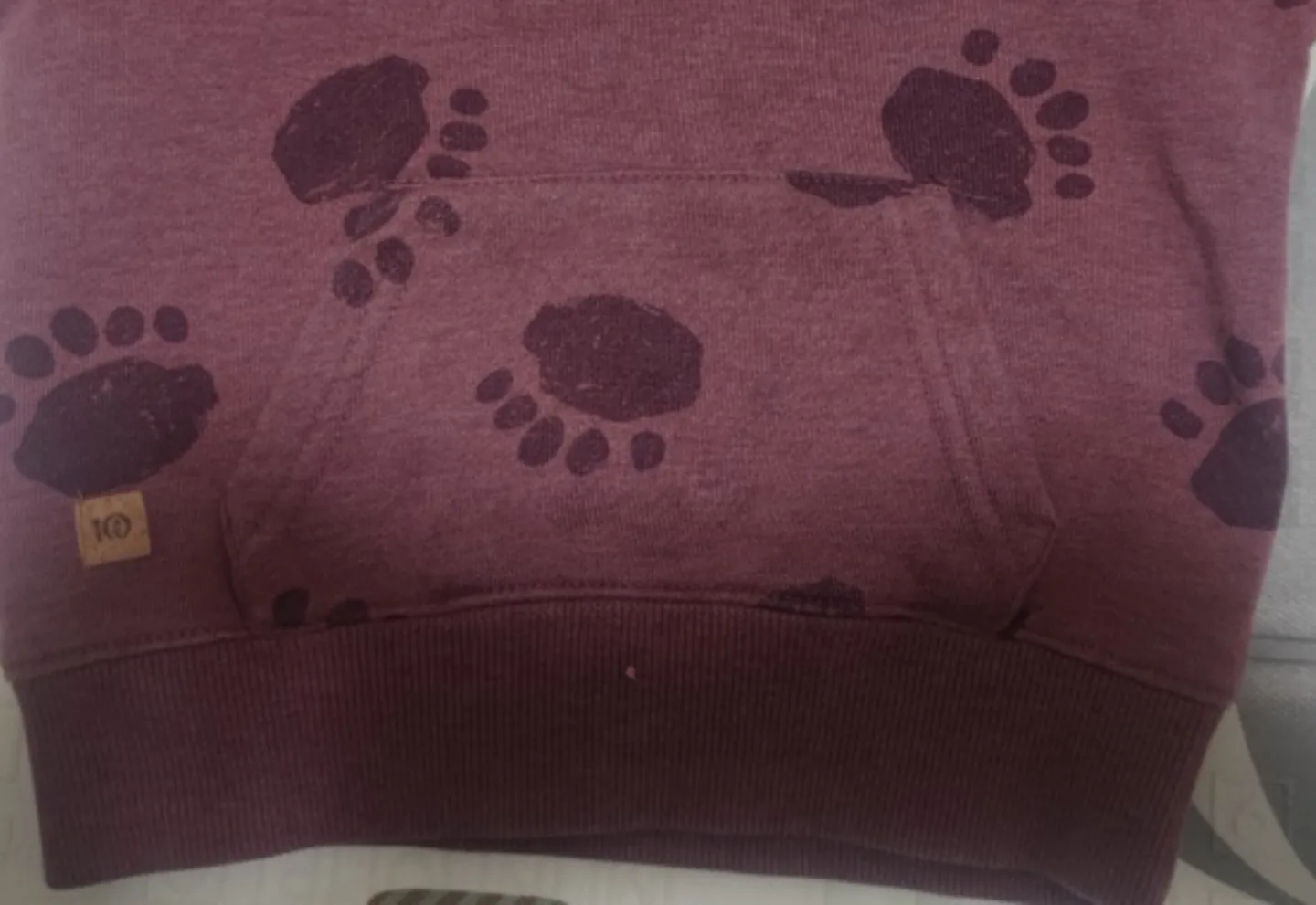 Kids hoodie Size 18M image indicator(3)