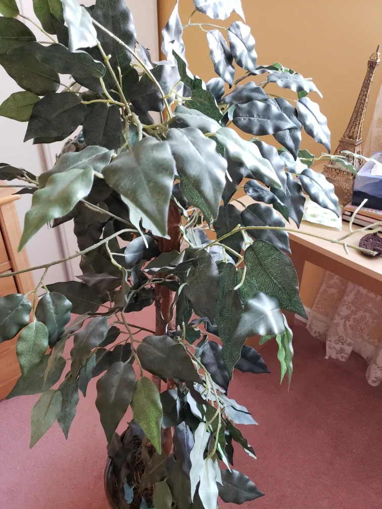 Artificial Ficus Tree in Woven Basket image indicator(3)