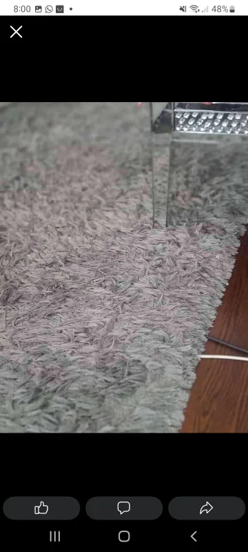 Grey Shag Rug image indicator(6)