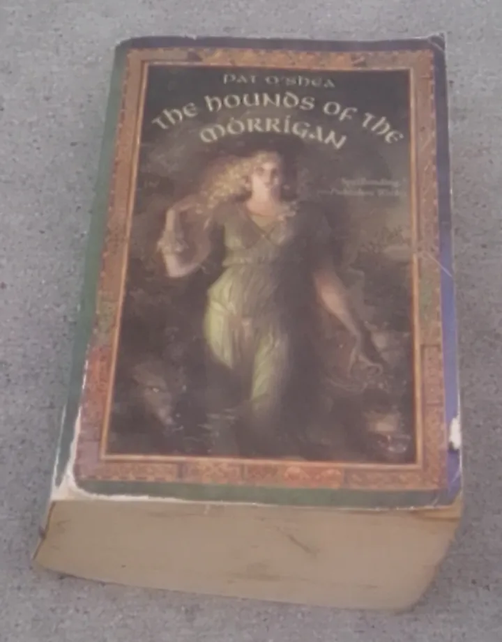 The Hounds of the Morrigan by Pat O'Shea #freecycle image indicator(2)