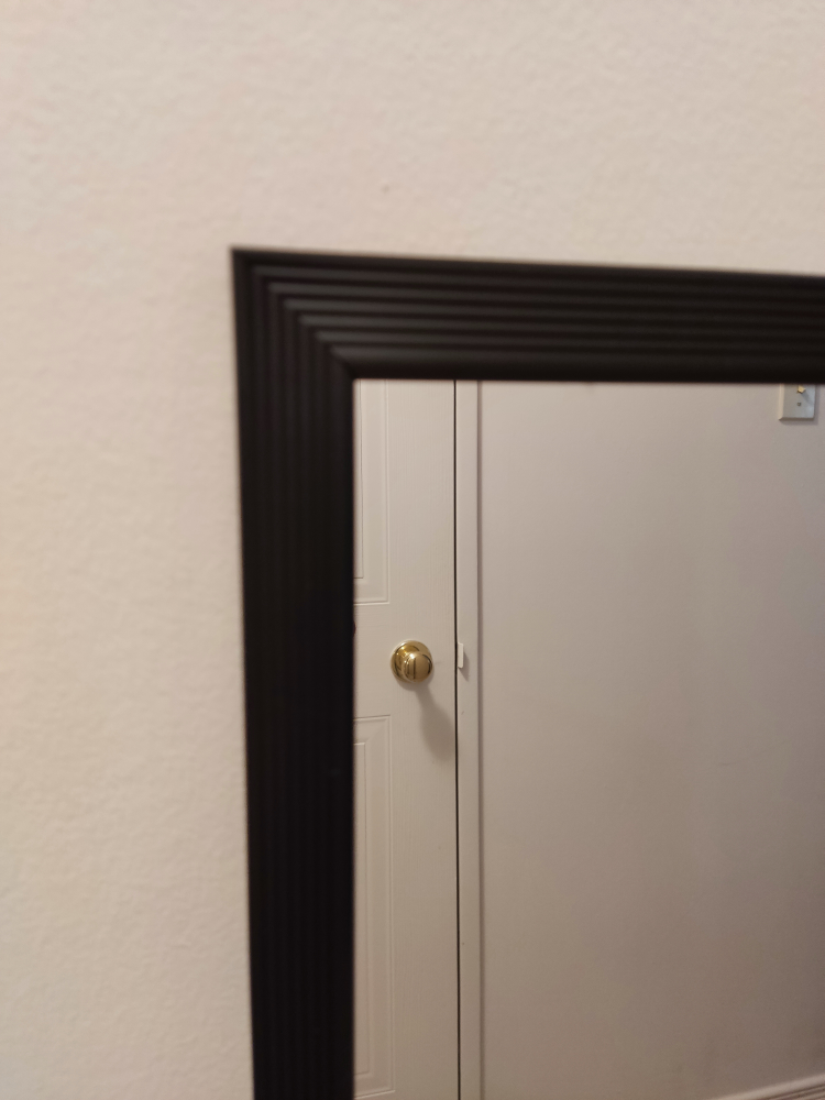 Full-Length Mirror with Black Frame - photo 3