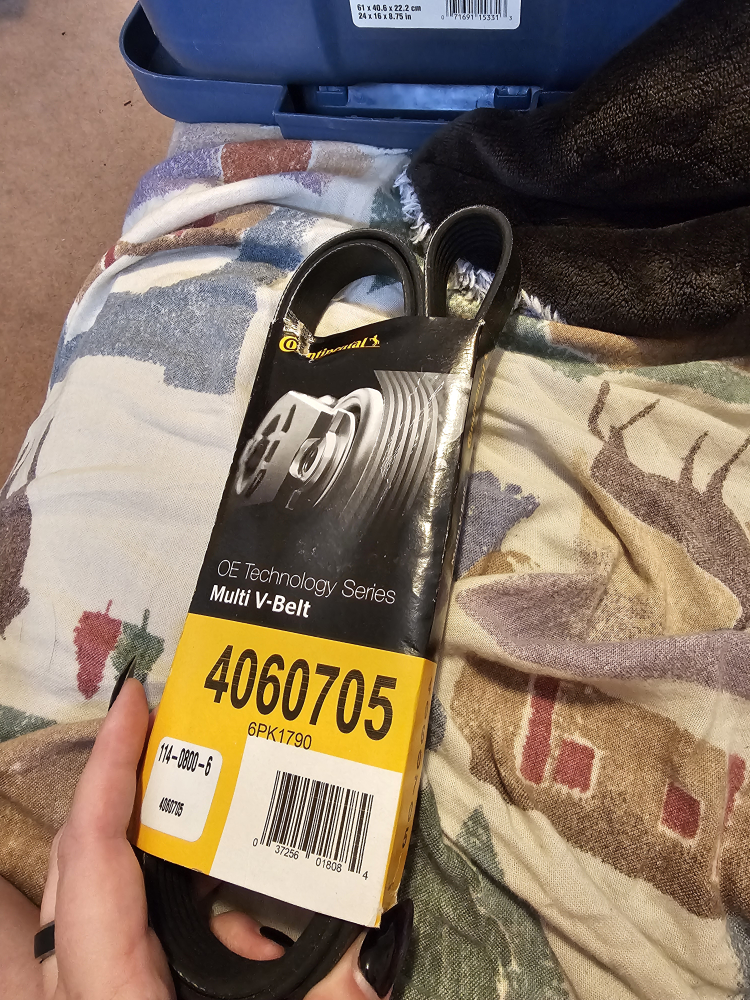 serpintine belt