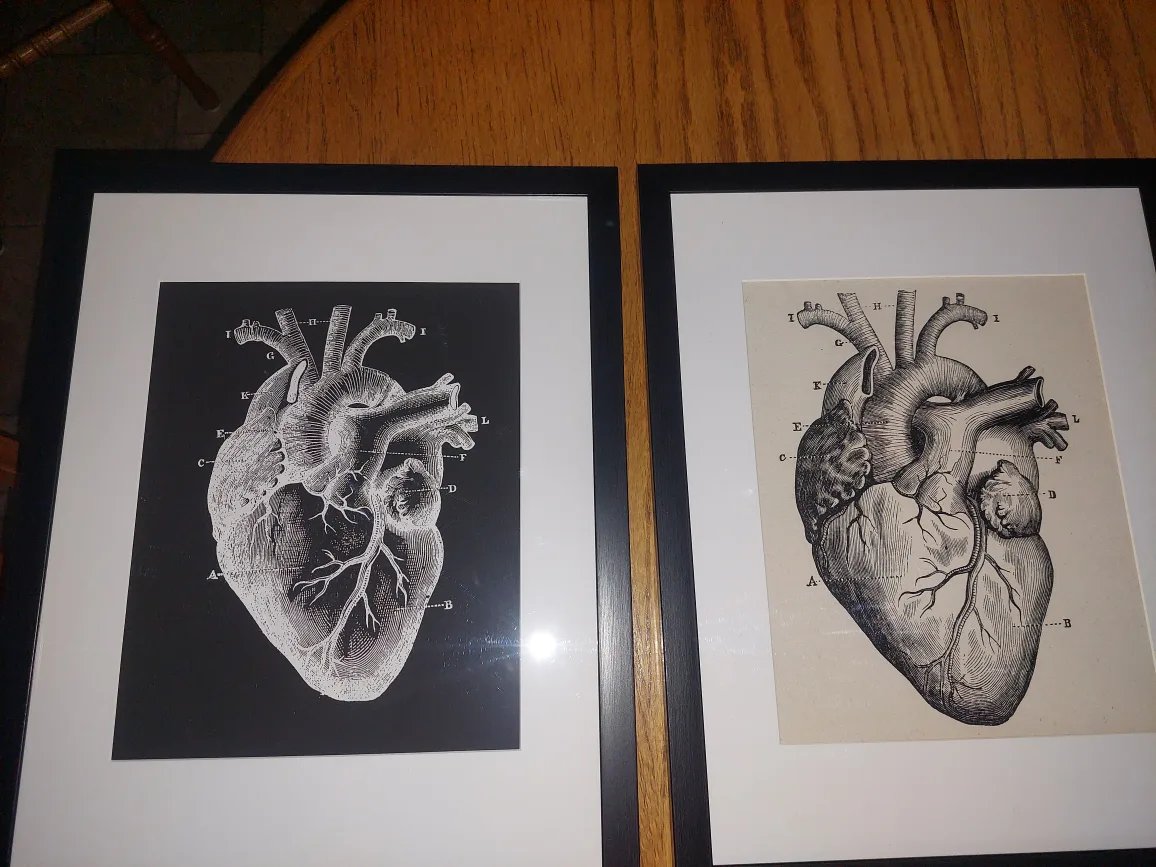 Your choice of TWO framed canvas prints image indicator(2)