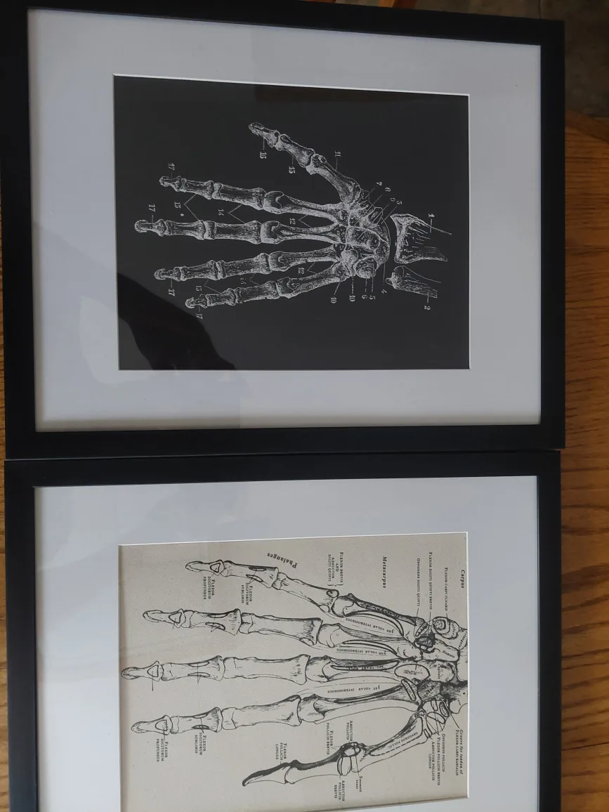 Your choice of TWO framed canvas prints image indicator(3)