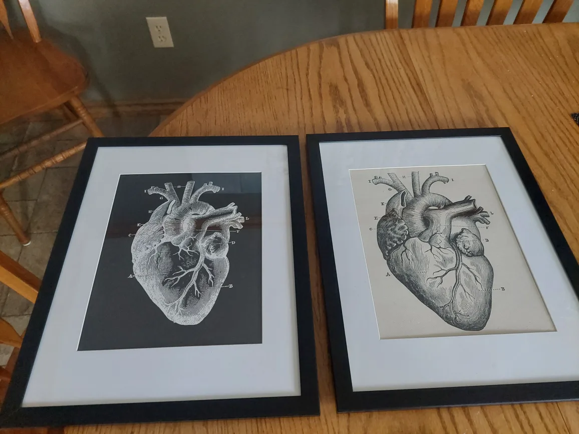 Your choice of TWO framed canvas prints image indicator(4)