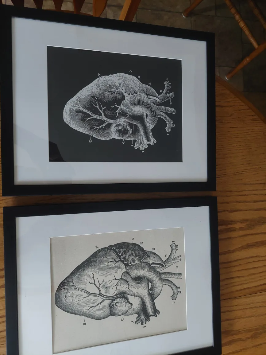 Your choice of TWO framed canvas prints image indicator(6)