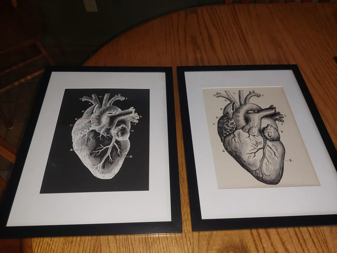 Your choice of TWO framed canvas prints image indicator(7)