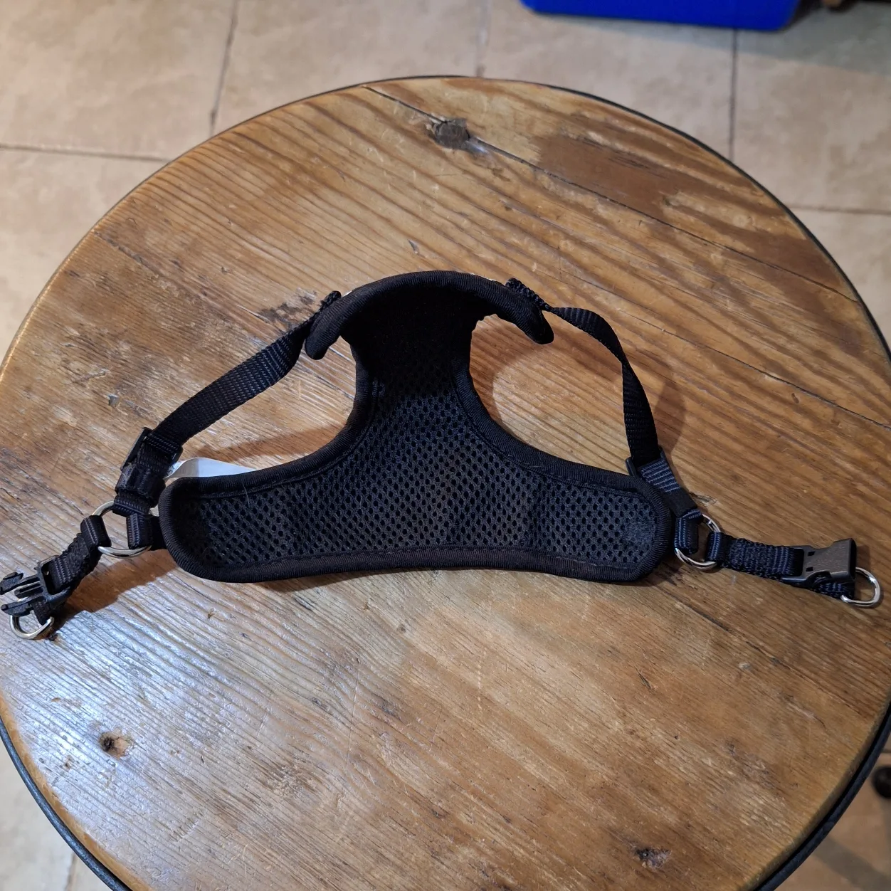 Small Pet Harness - Skull Print image indicator(3)