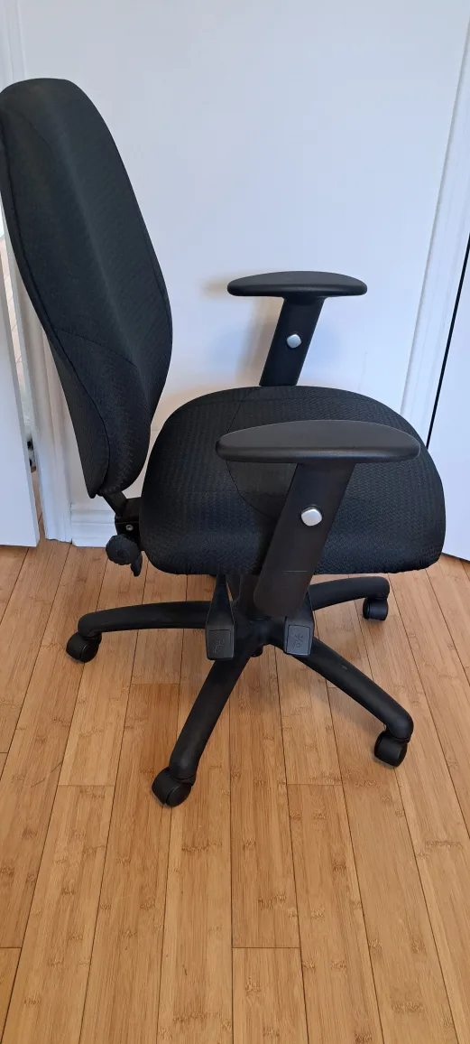 Ergonomic Office Chair with 4 Adjustable Parts. image indicator(2)