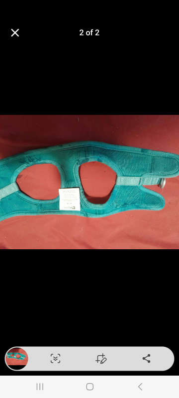 Teal Dog Harness - Small Size