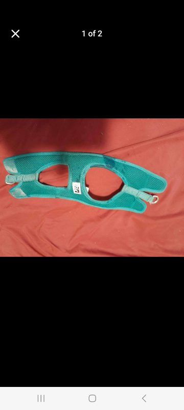 Teal Dog Harness - Small Size - photo 2