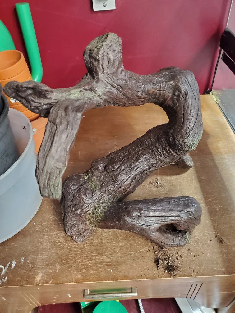 Reptile Terrarium Decorations - Set of 5 image indicator(3)