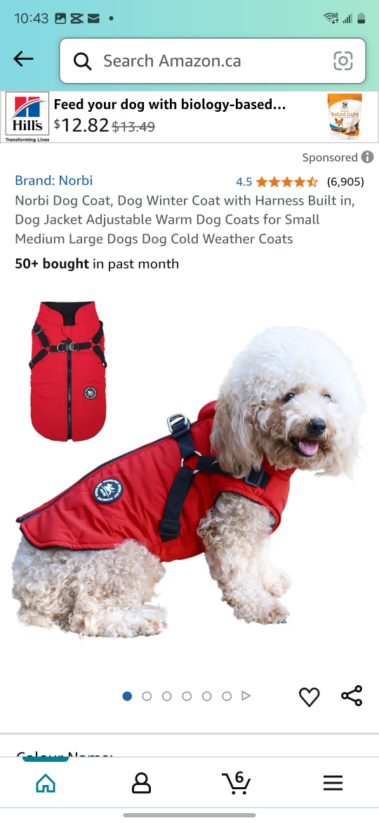 Norbi Dog Winter Coat - Red, Small/Medium
