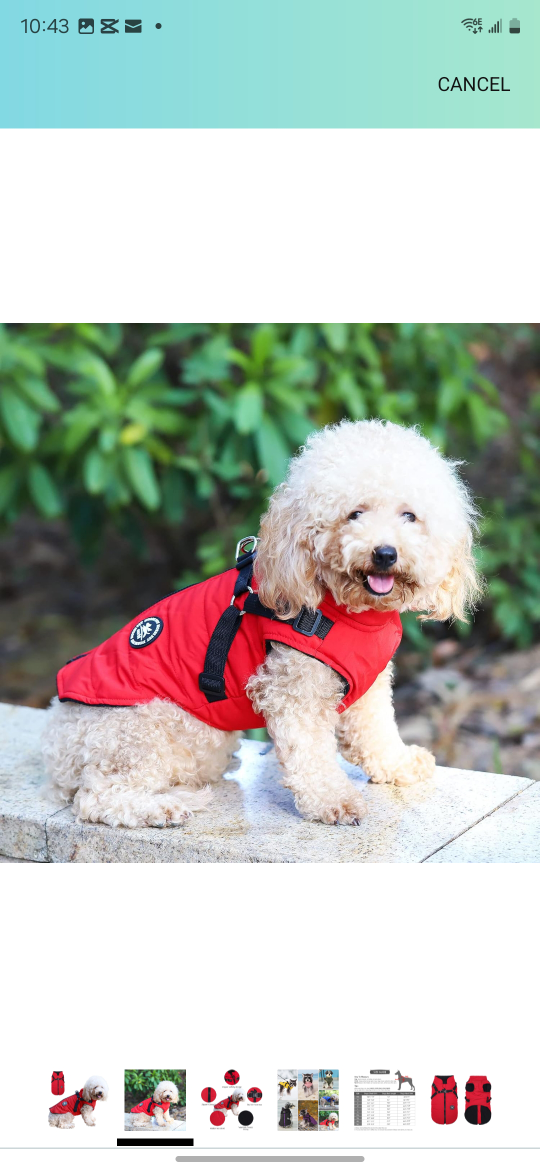 Norbi Dog Winter Coat - Red, Small/Medium - photo 2