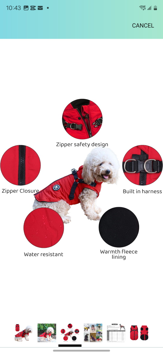 Norbi Dog Winter Coat - Red, Small/Medium - photo 3