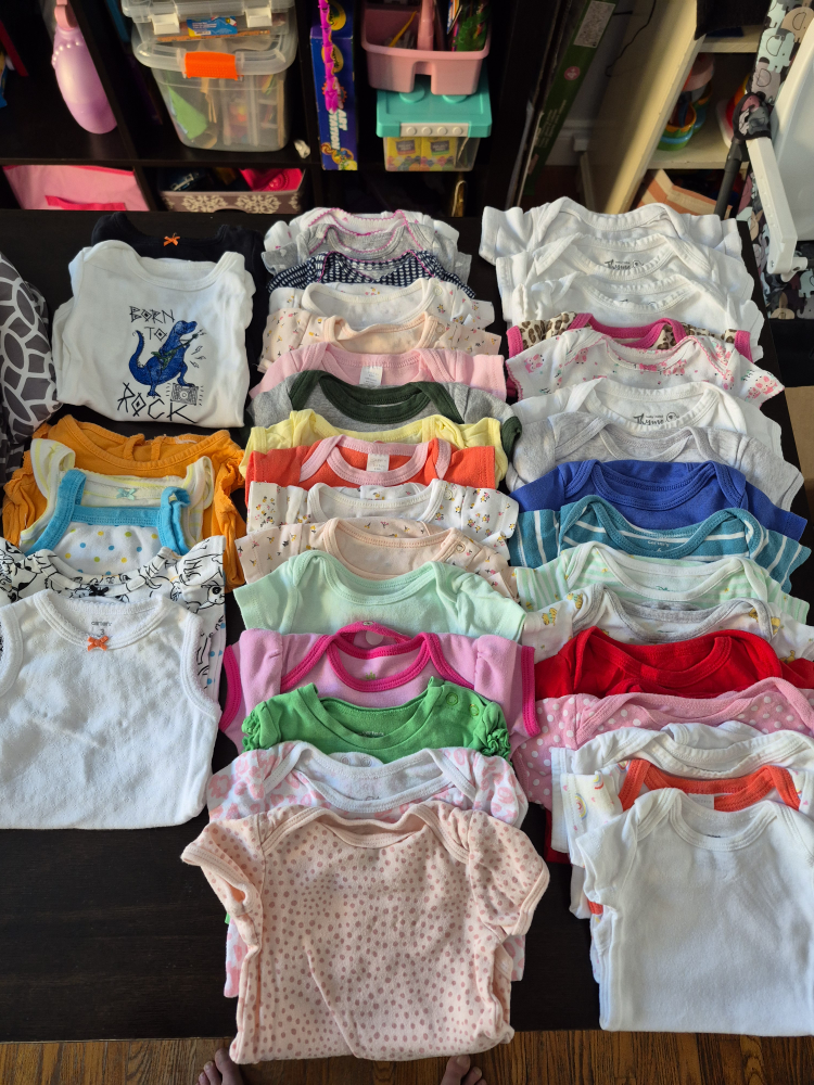 Baby Girl Clothes Bundle - Newborn to 6 Months