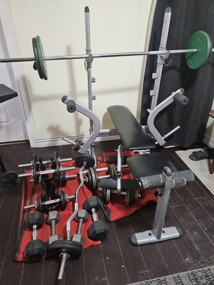weight bench and free weights