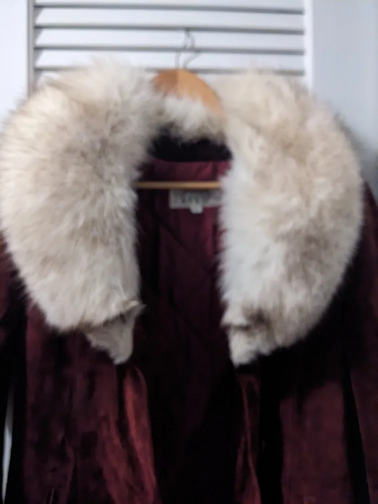 Vintage Leather Attic Suede Coat with Fox Fur Collar image indicator(2)